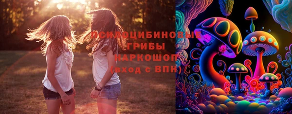тгк Алексин