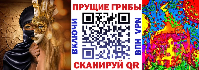 Псилоцибиновые грибы Cubensis  цена   Нижний Ломов 